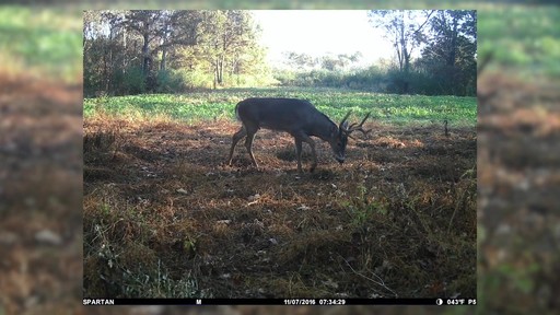 HCO Spartan Verizon GoCam 3G Wireless Blackout IR Trail/Game Camera 8 MP - image 9 from the video